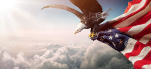 eagle soars holding American flag